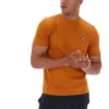Camiseta Sunny Essential en color Pumpkin Spice