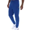Pantalones lisos Giulio de Limoges