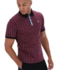 Polo clásico vintage a rayas Fig BB1